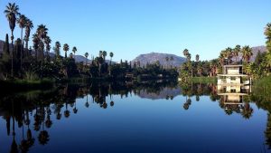 The artificial lagoon